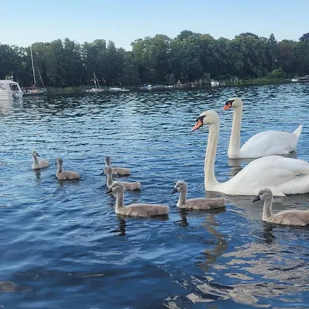 Oase Am Petzinsee Mit Sauna Bei Potsdam Vakantiehuis